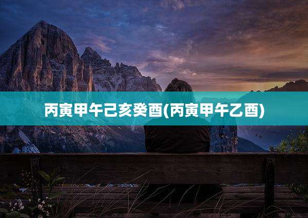 丙寅甲午己亥癸酉(丙寅甲午乙酉)