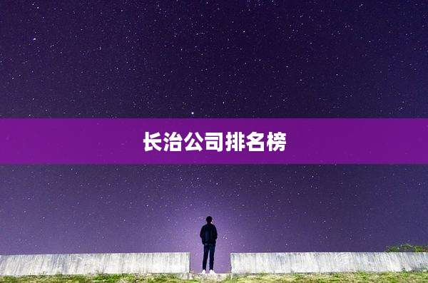 长治公司排名榜