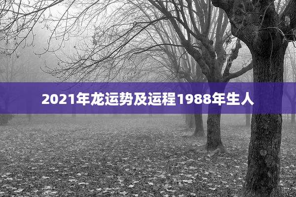 2021年龙运势及运程1988年生人