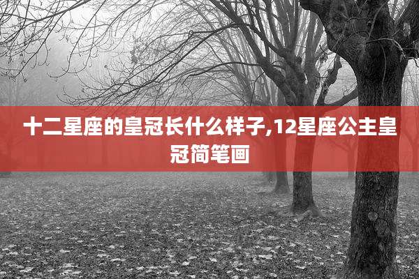 十二星座的皇冠长什么样子,12星座公主皇冠简笔画