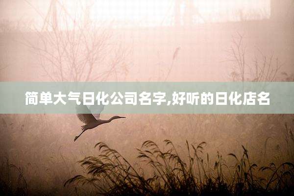 简单大气日化公司名字,好听的日化店名