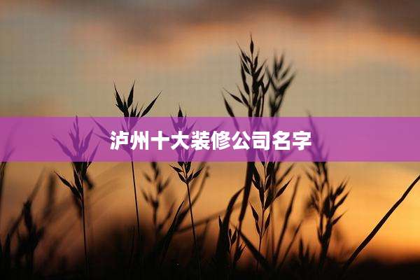 泸州十大装修公司名字