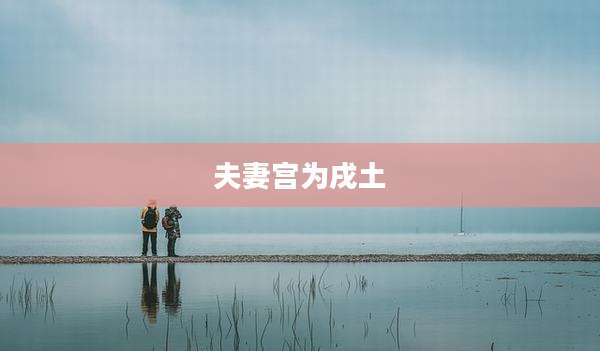 夫妻宫为戌土
