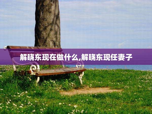 解晓东现在做什么,解晓东现任妻子