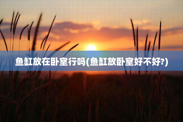 鱼缸放在卧室行吗(鱼缸放卧室好不好?)