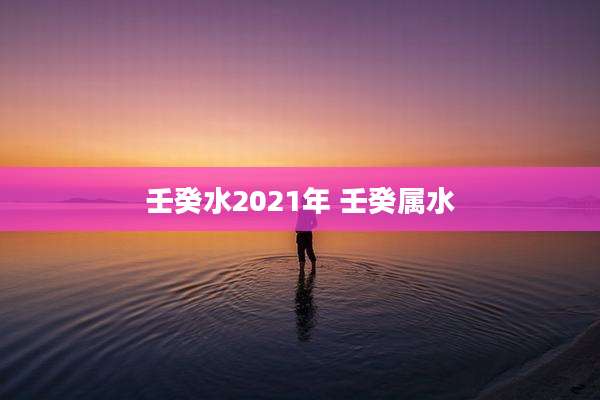 壬癸水2021年 壬癸属水