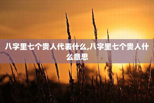 八字里七个贵人代表什么,八字里七个贵人什么意思