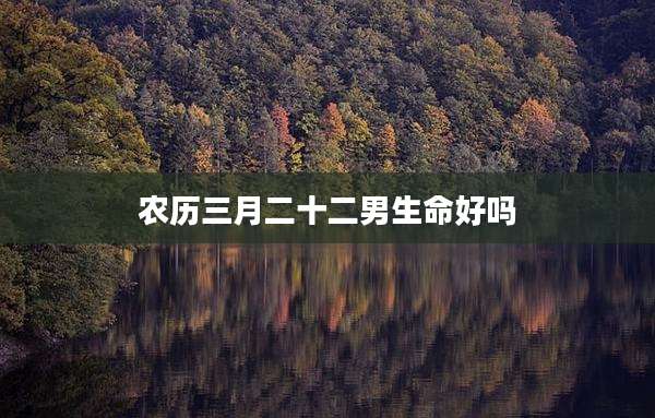 农历三月二十二男生命好吗