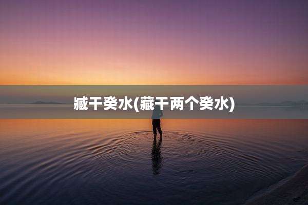 臧干癸水(藏干两个癸水)