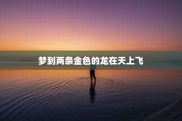 梦到两条金色的龙在天上飞