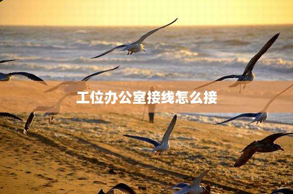 工位办公室接线怎么接