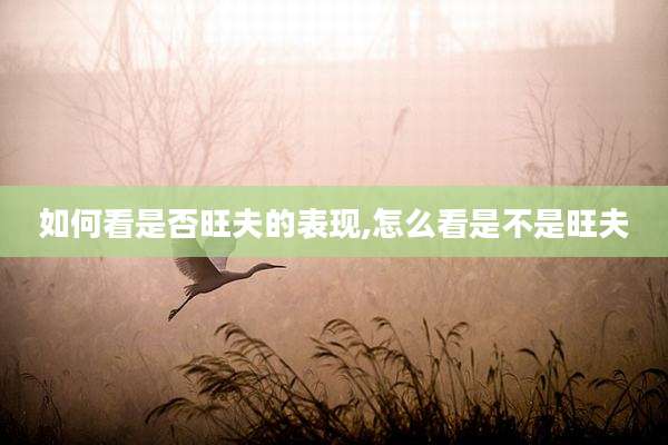 如何看是否旺夫的表现,怎么看是不是旺夫