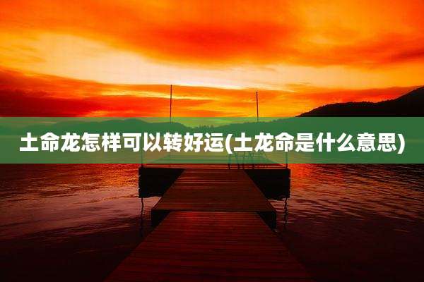 土命龙怎样可以转好运(土龙命是什么意思)