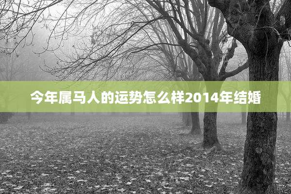今年属马人的运势怎么样2014年结婚