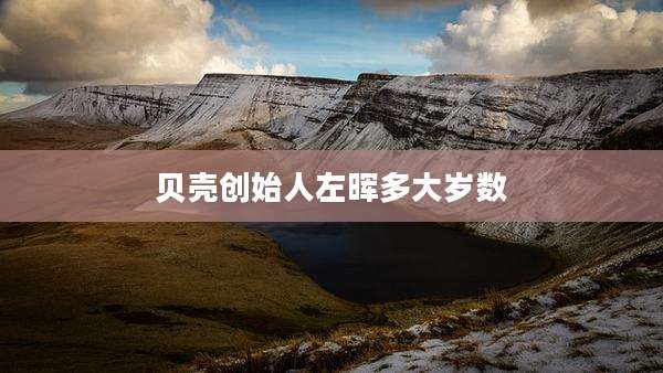 贝壳创始人左晖多大岁数