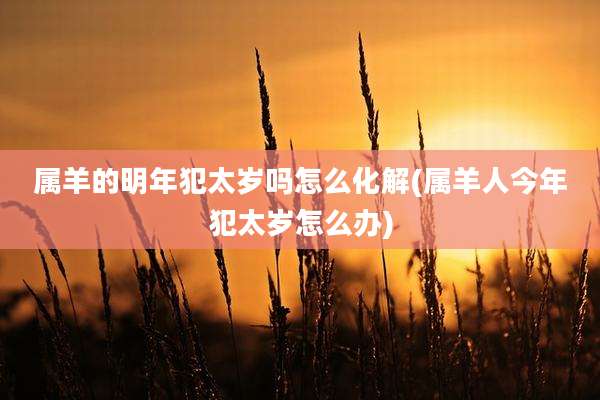 属羊的明年犯太岁吗怎么化解(属羊人今年犯太岁怎么办)