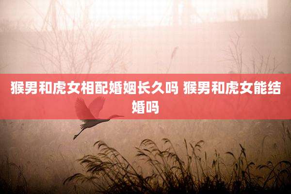 猴男和虎女相配婚姻长久吗 猴男和虎女能结婚吗