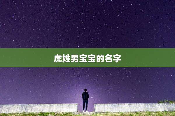 虎姓男宝宝的名字