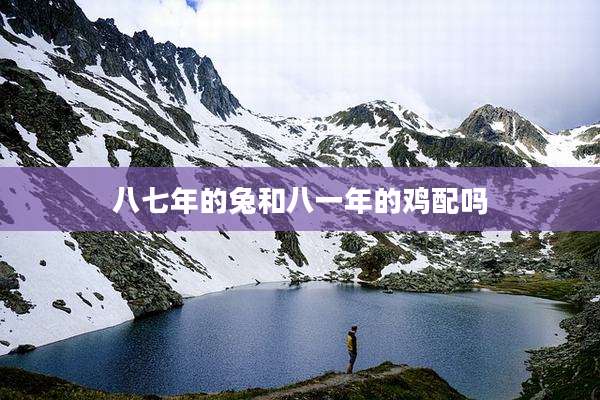 八七年的兔和八一年的鸡配吗