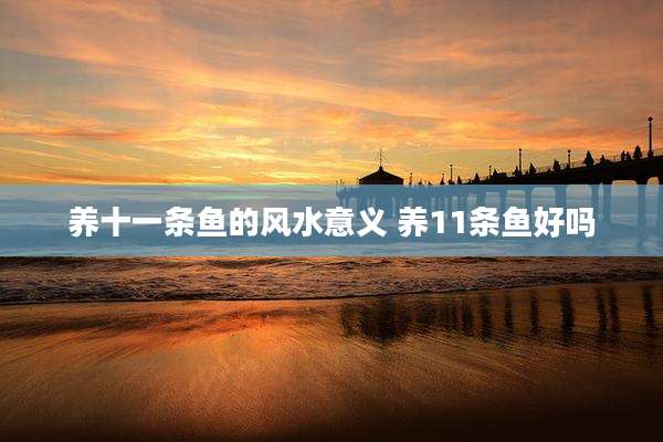 养十一条鱼的风水意义 养11条鱼好吗