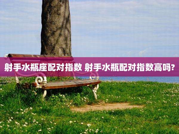 射手水瓶座配对指数 射手水瓶配对指数高吗?