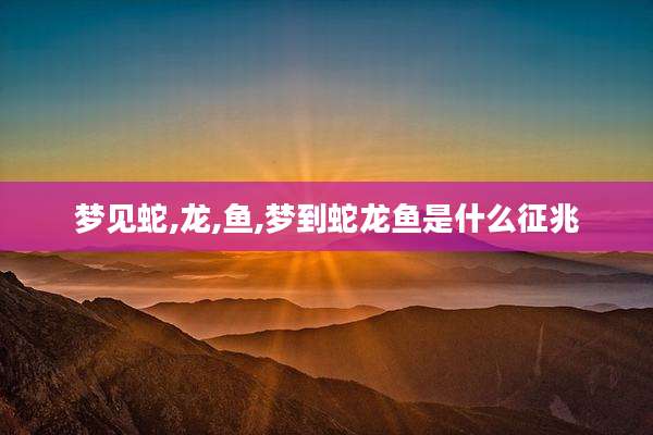 梦见蛇,龙,鱼,梦到蛇龙鱼是什么征兆