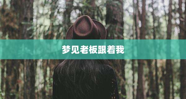 梦见老板跟着我