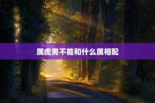 属虎男不能和什么属相配