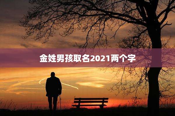 金姓男孩取名2021两个字