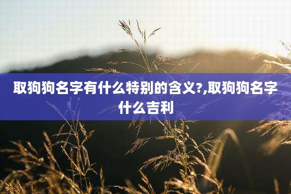 取狗狗名字有什么特别的含义?,取狗狗名字什么吉利