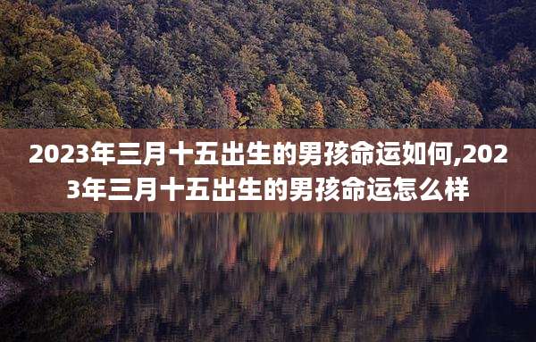 2023年三月十五出生的男孩命运如何,2023年三月十五出生的男孩命运怎么样