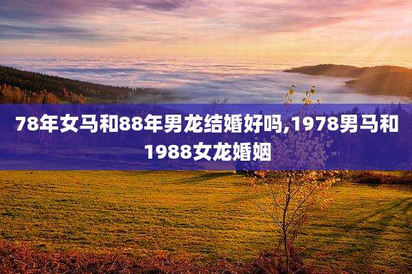 78年女马和88年男龙结婚好吗,1978男马和1988女龙婚姻