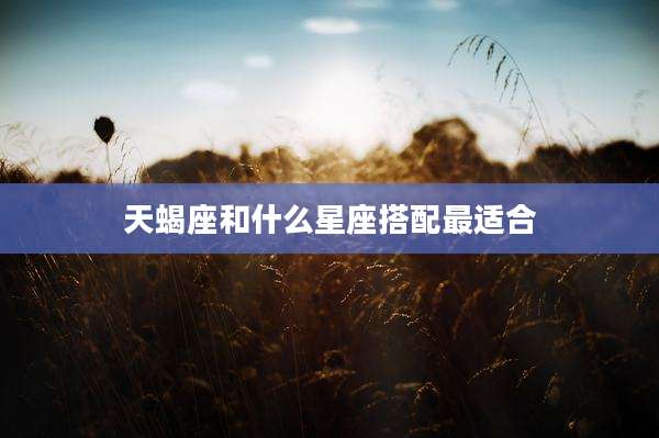 天蝎座和什么星座搭配最适合