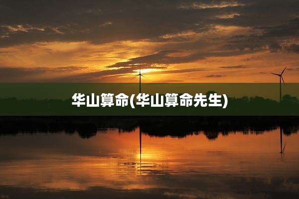 华山算命(华山算命先生)