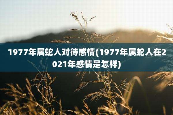 1977年属蛇人对待感情(1977年属蛇人在2021年感情是怎样)