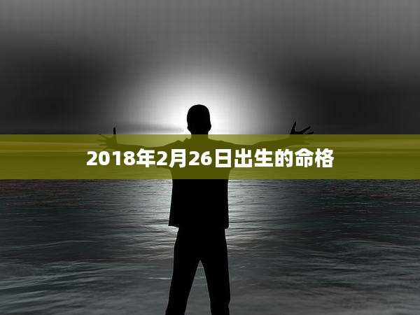 2018年2月26日出生的命格