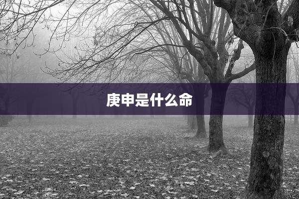 庚申是什么命