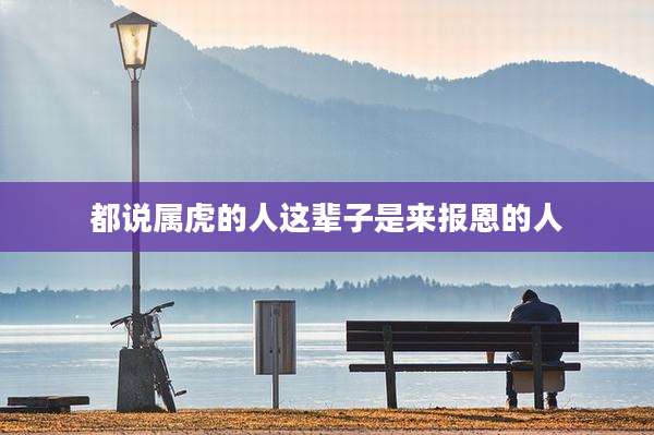 都说属虎的人这辈子是来报恩的人