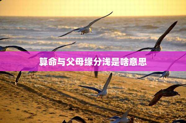 算命与父母缘分浅是啥意思