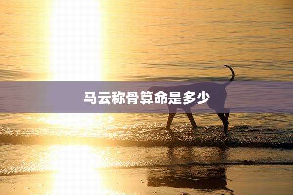 马云称骨算命是多少