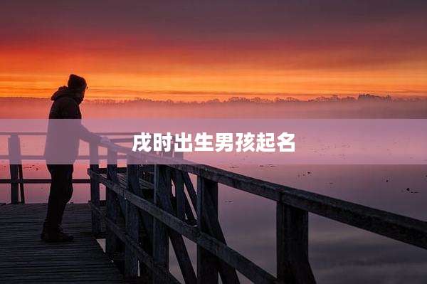 戌时出生男孩起名