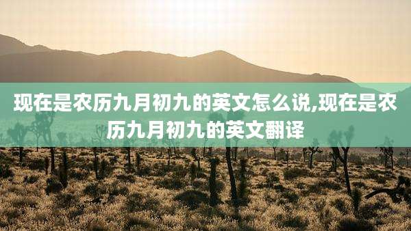 现在是农历九月初九的英文怎么说,现在是农历九月初九的英文翻译