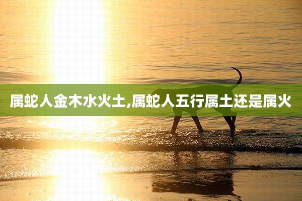 属蛇人金木水火土,属蛇人五行属土还是属火