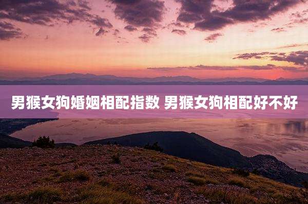 男猴女狗婚姻相配指数 男猴女狗相配好不好
