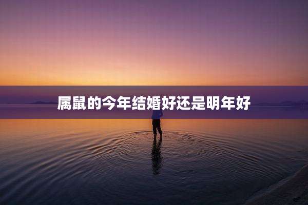 属鼠的今年结婚好还是明年好