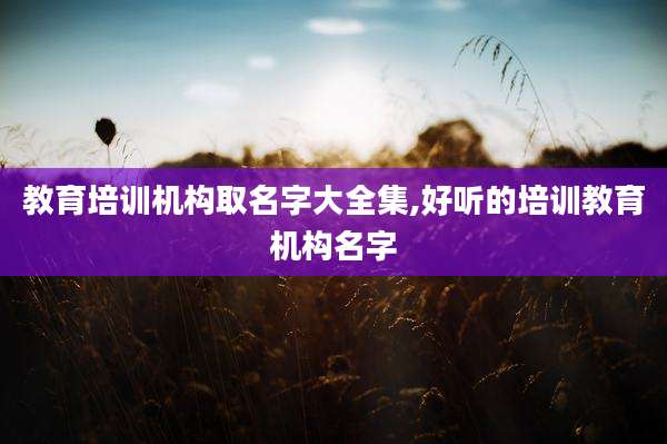 教育培训机构取名字大全集,好听的培训教育机构名字