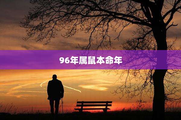96年属鼠本命年