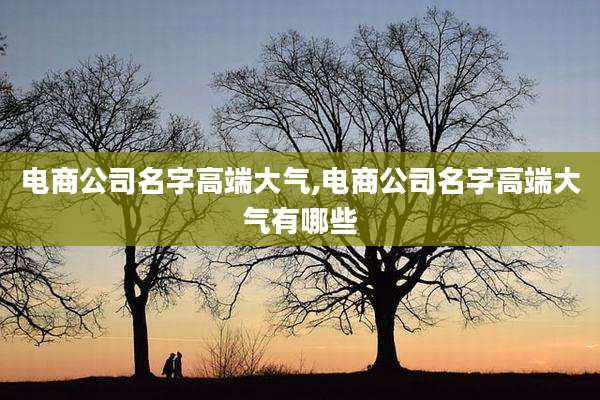 电商公司名字高端大气,电商公司名字高端大气有哪些