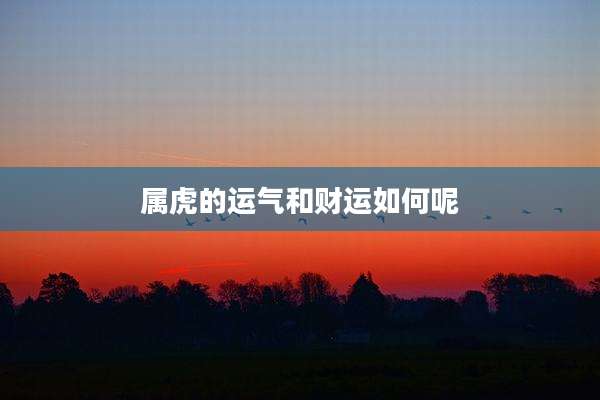属虎的运气和财运如何呢