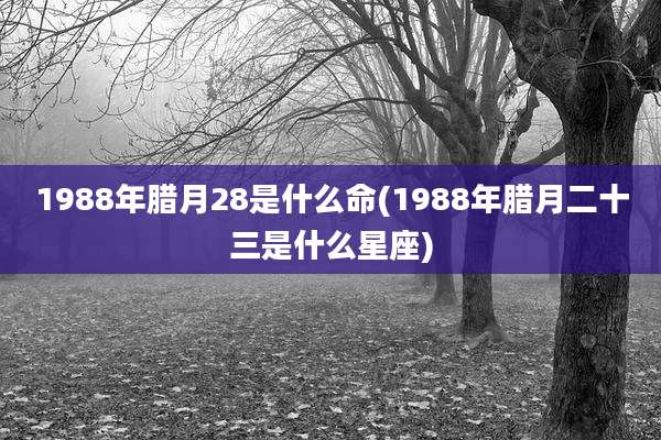 1988年腊月28是什么命(1988年腊月二十三是什么星座)